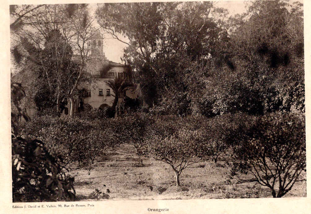 orangerie